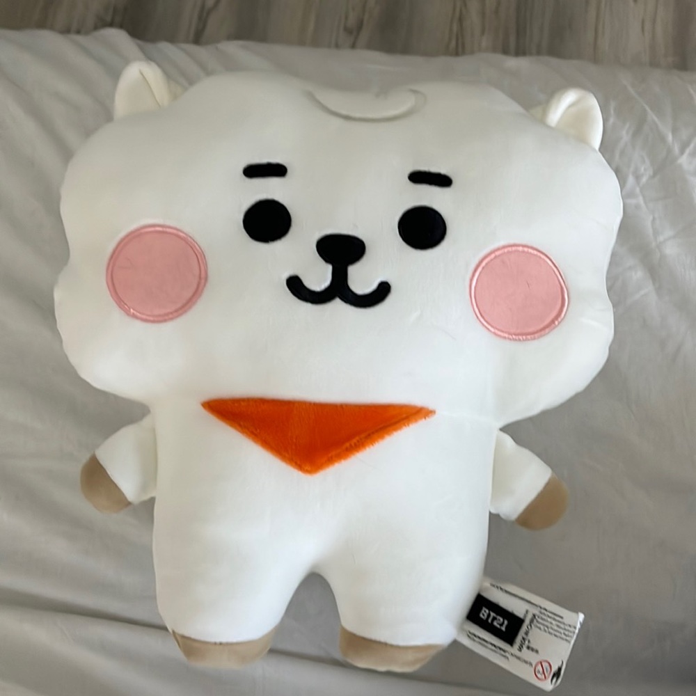 BT21 RJ hug me cushion